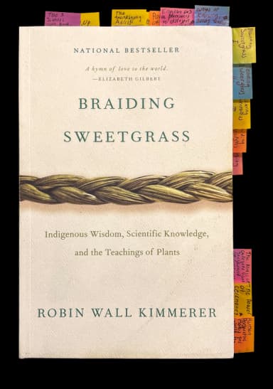Braiding Sweetgrass