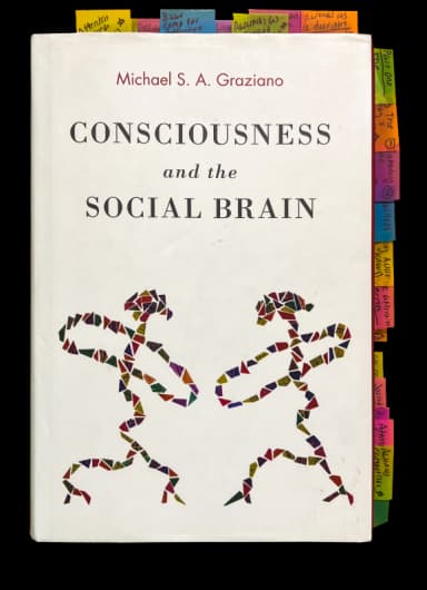 Consciousness and the Social Brain